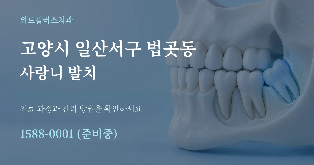 고양시 일산서구 법곳동 사랑니 발치 서비스 이용 안내 그래픽