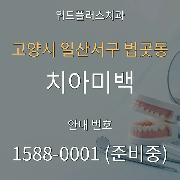 고양시 일산서구 법곳동 치아미백 대표 안내 그래픽