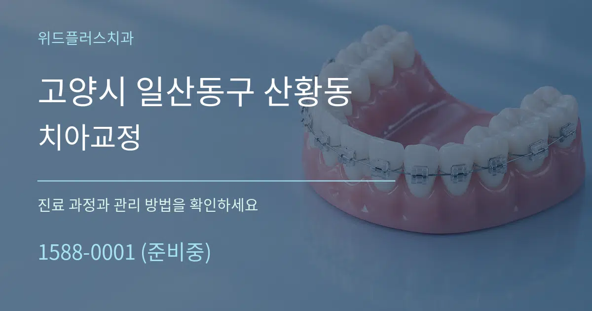 고양시 일산동구 산황동 치아교정 서비스 이용 안내 그래픽