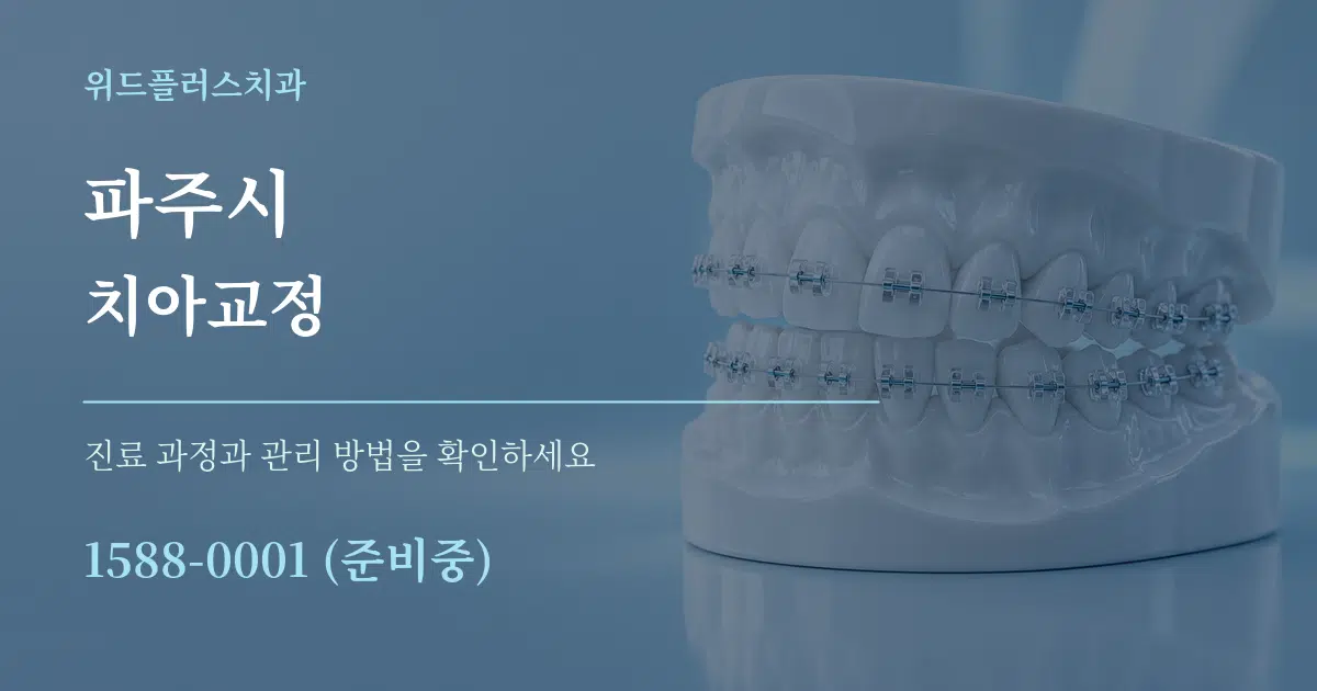 파주시 치아교정 서비스 이용 안내 그래픽