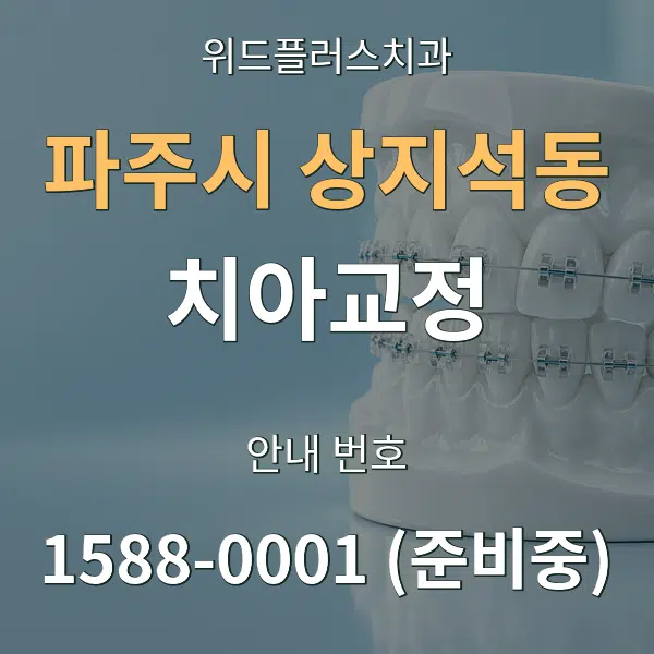 파주시 상지석동 치아교정 대표 안내 그래픽