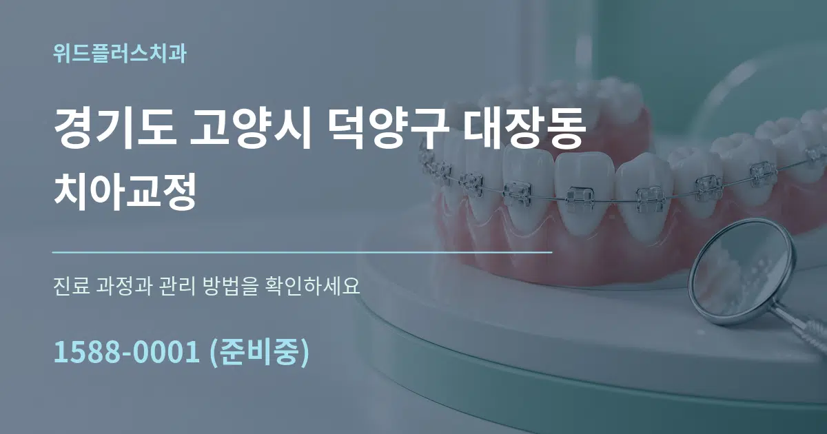 경기도 고양시 덕양구 대장동 치아교정 작업 조건 안내 그래픽