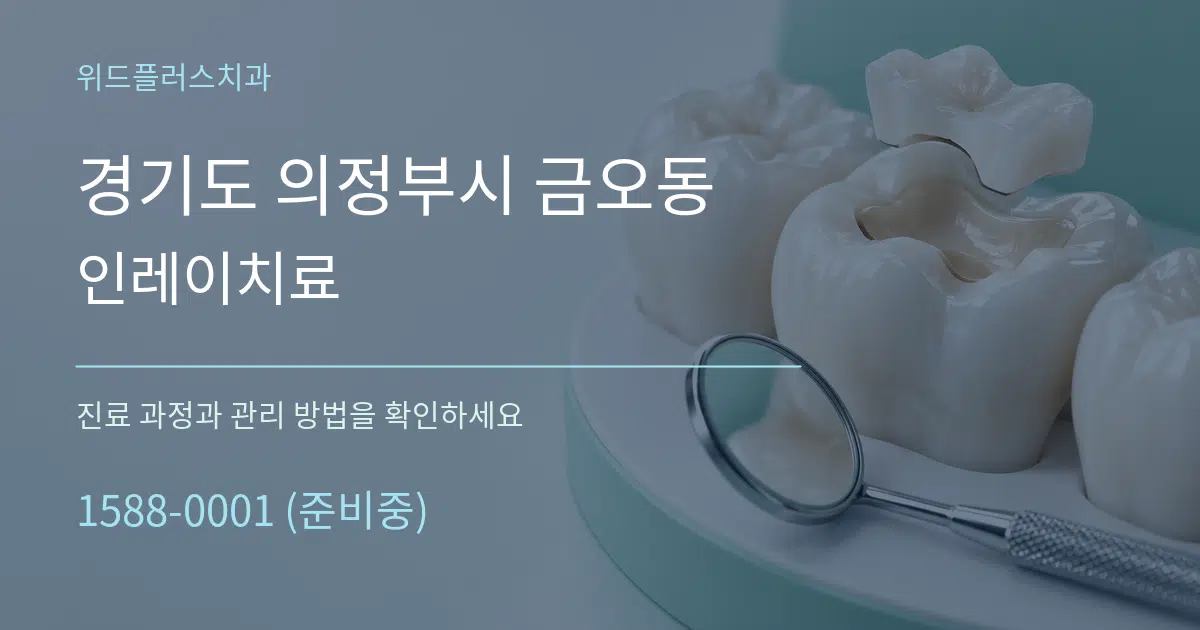 경기도 의정부시 금오동 인레이치료 작업 조건 안내 그래픽