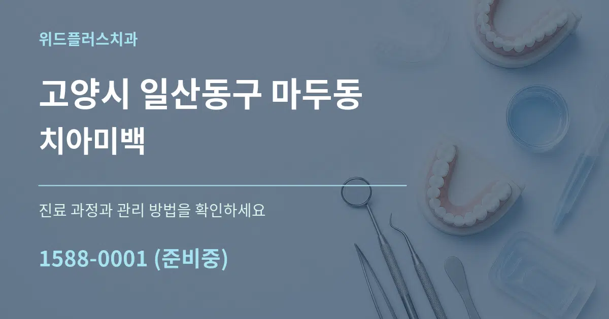 고양시 일산동구 마두동 치아미백 서비스 이용 안내 그래픽