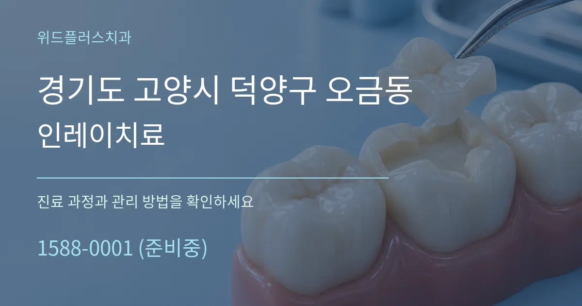 경기도 고양시 덕양구 오금동 인레이치료 서비스 이용 안내 그래픽