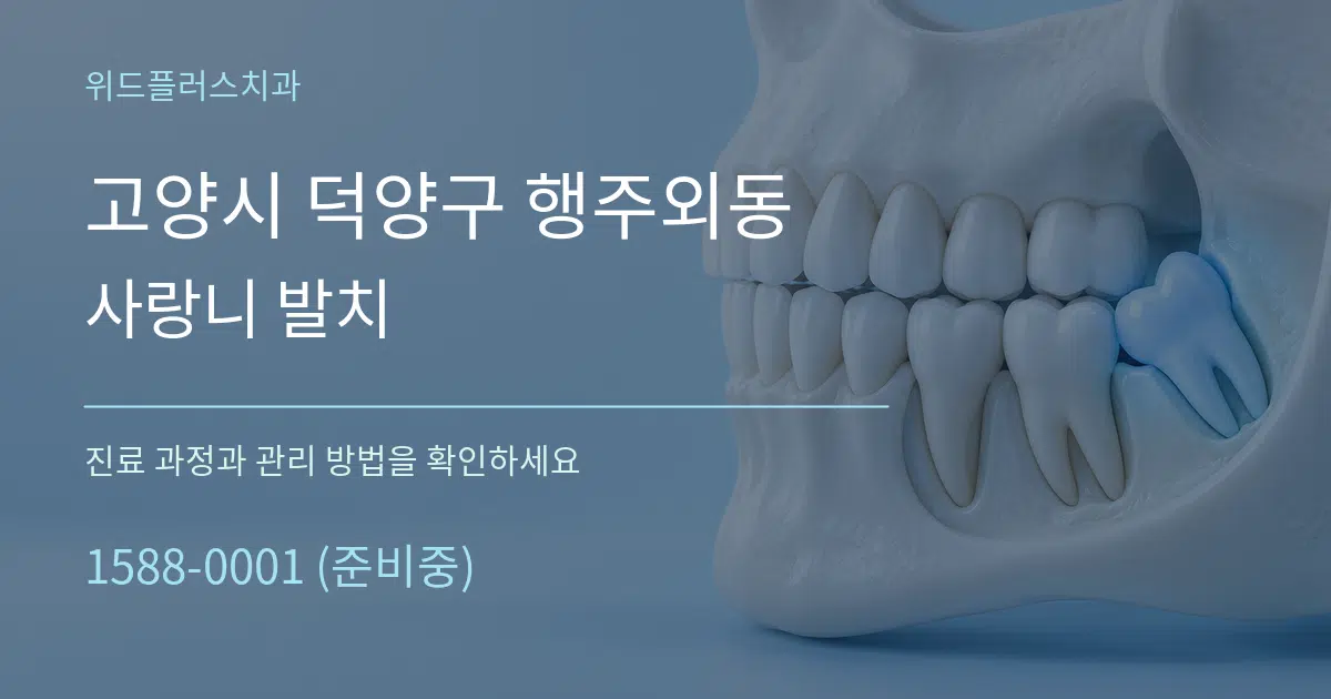 고양시 덕양구 행주외동 사랑니 발치 서비스 이용 안내 그래픽