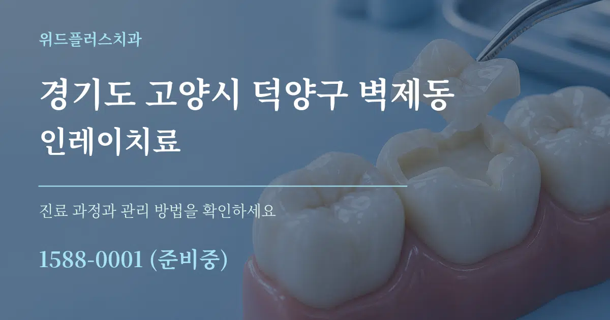 경기도 고양시 덕양구 벽제동 인레이치료 작업 조건 안내 그래픽