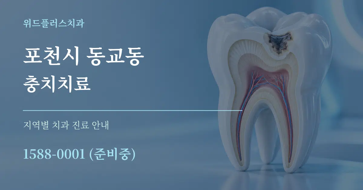 포천시 동교동 충치치료 대표 안내 그래픽