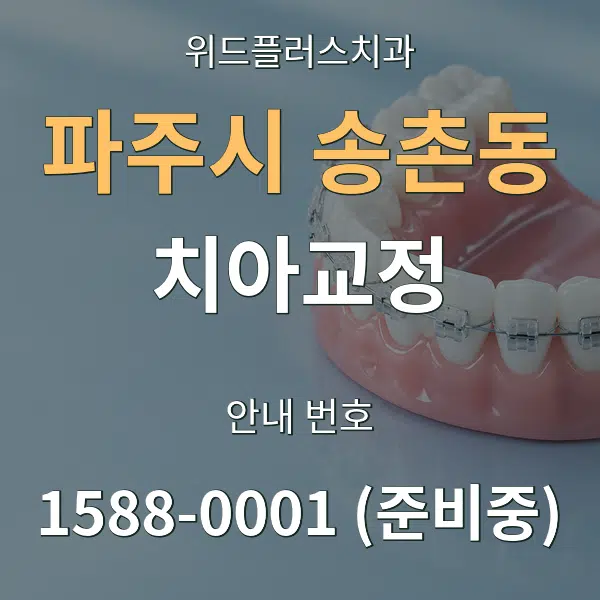 파주시 송촌동 치아교정 대표 안내 그래픽