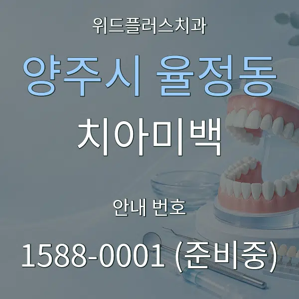 양주시 율정동 치아미백 대표 안내 그래픽
