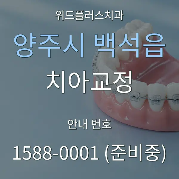 양주시 백석읍 치아교정 대표 안내 그래픽