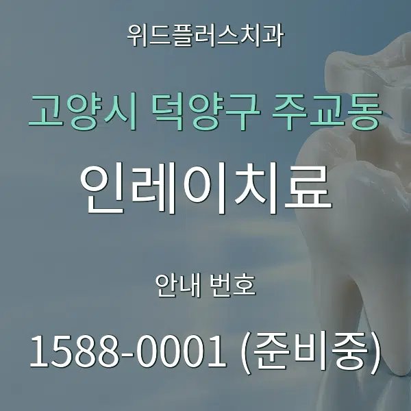 고양시 덕양구 주교동 인레이치료 대표 안내 그래픽