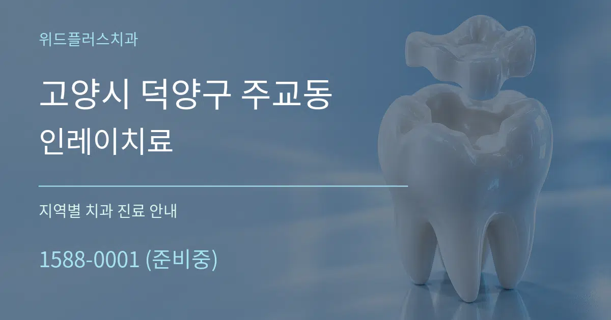 고양시 덕양구 주교동 인레이치료 대표 안내 그래픽