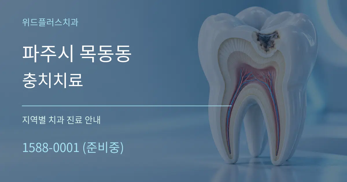 파주시 목동동 충치치료 대표 안내 그래픽