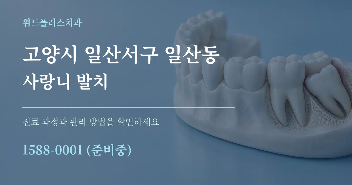 고양시 일산서구 일산동 사랑니 발치 서비스 이용 안내 그래픽