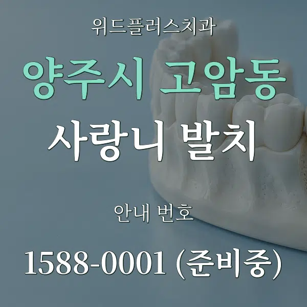 양주시 고암동 사랑니 발치 대표 안내 그래픽