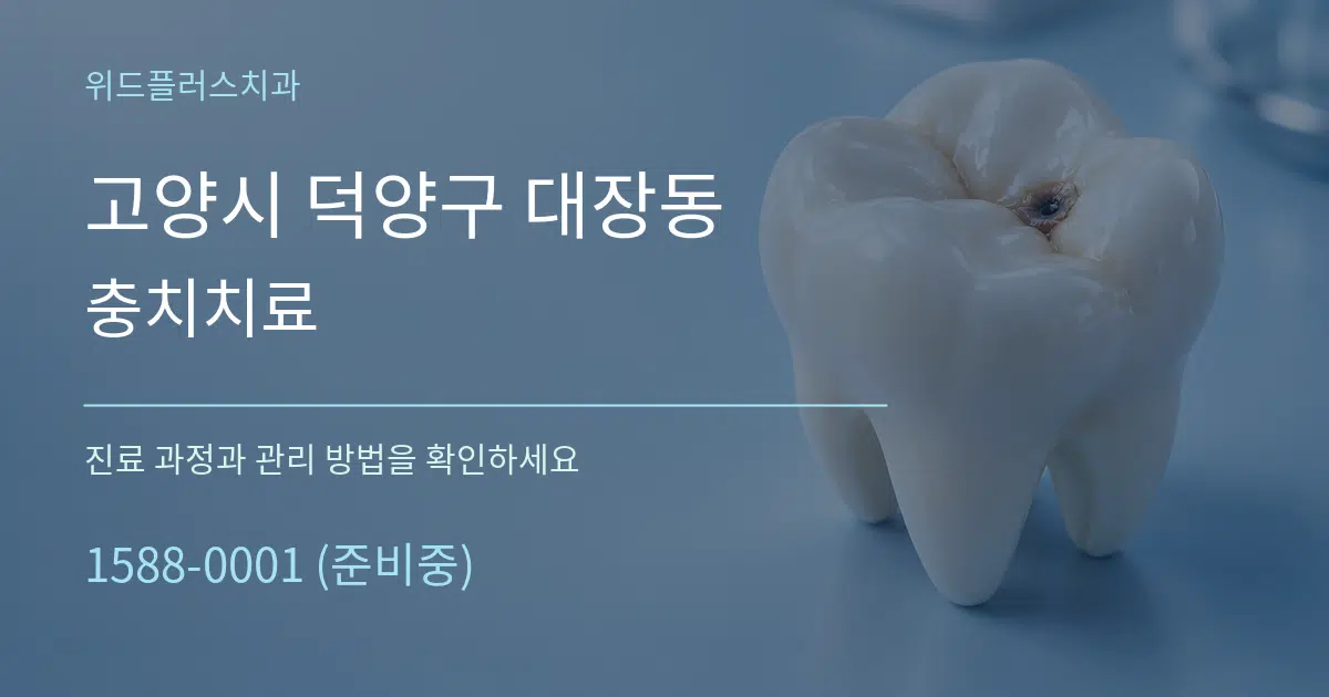 고양시 덕양구 대장동 충치치료 서비스 이용 안내 그래픽