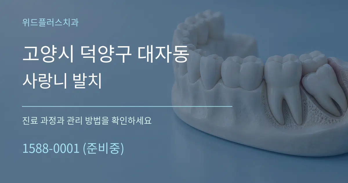 고양시 덕양구 대자동 사랑니 발치 작업 조건 안내 그래픽