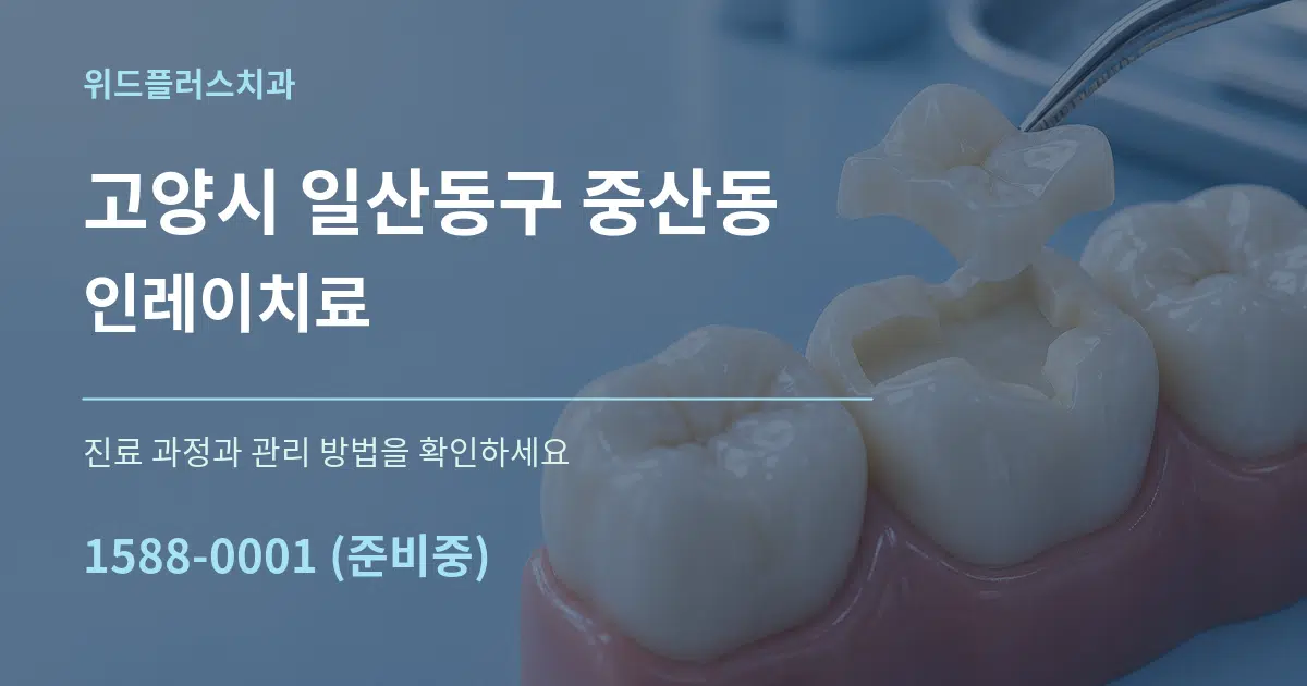 고양시 일산동구 중산동 인레이치료 서비스 이용 안내 그래픽