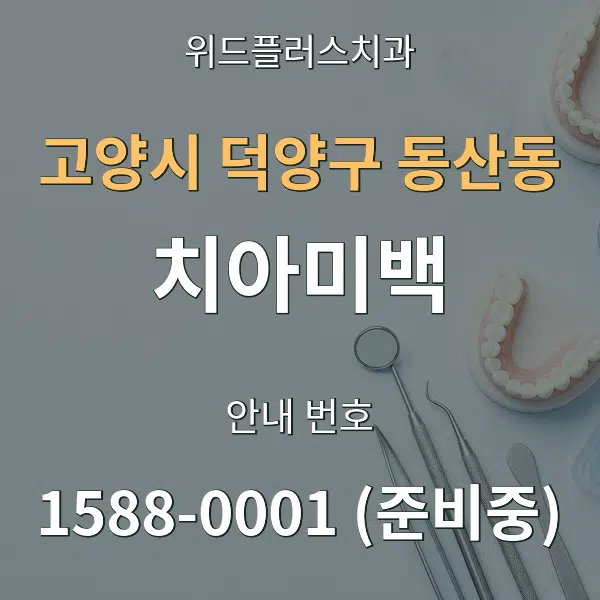 고양시 덕양구 동산동 치아미백 대표 안내 그래픽