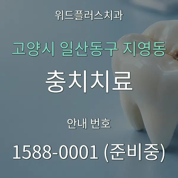 고양시 일산동구 지영동 충치치료 대표 안내 그래픽