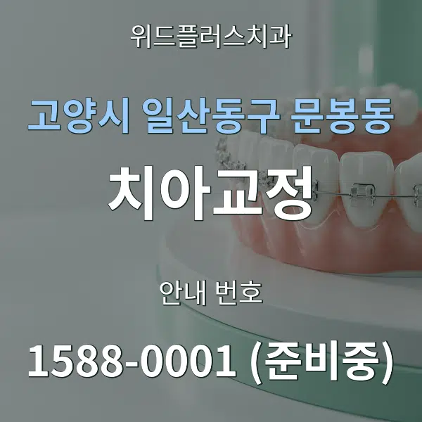 고양시 일산동구 문봉동 치아교정 대표 안내 그래픽