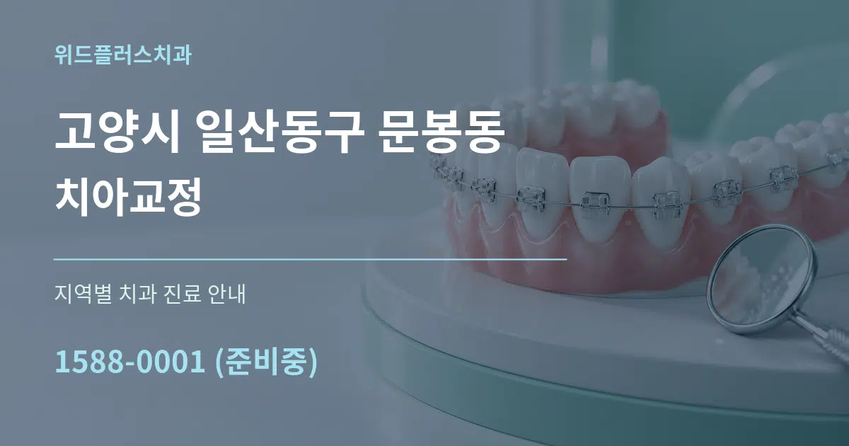고양시 일산동구 문봉동 치아교정 대표 안내 그래픽