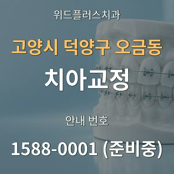 고양시 덕양구 오금동 치아교정 대표 안내 그래픽
