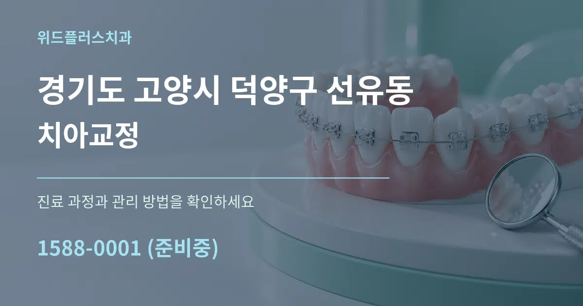 경기도 고양시 덕양구 선유동 치아교정 서비스 이용 안내 그래픽