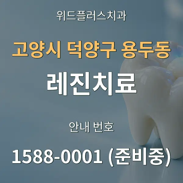 고양시 덕양구 용두동 레진치료 대표 안내 그래픽