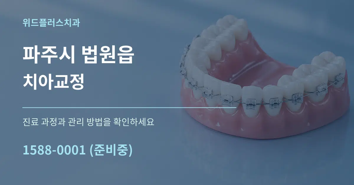 파주시 법원읍 치아교정 서비스 이용 안내 그래픽