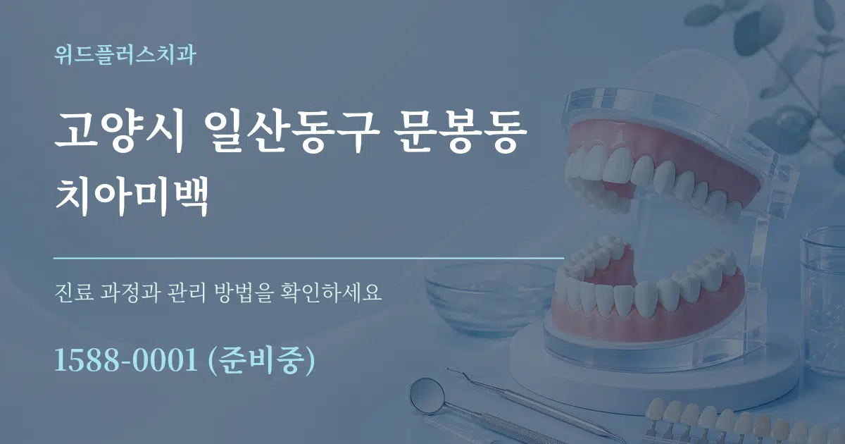 고양시 일산동구 문봉동 치아미백 서비스 이용 안내 그래픽