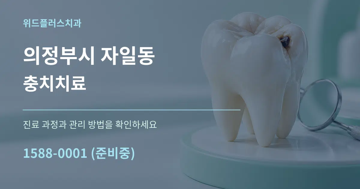 의정부시 자일동 충치치료 서비스 이용 안내 그래픽