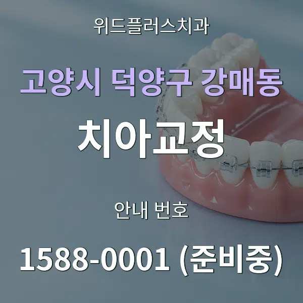 고양시 덕양구 강매동 치아교정 대표 안내 그래픽