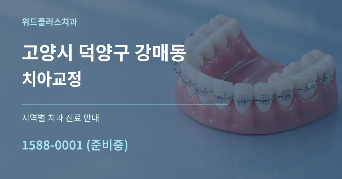 고양시 덕양구 강매동 치아교정 대표 안내 그래픽