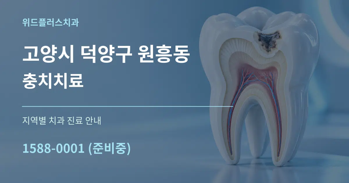고양시 덕양구 원흥동 충치치료 대표 안내 그래픽