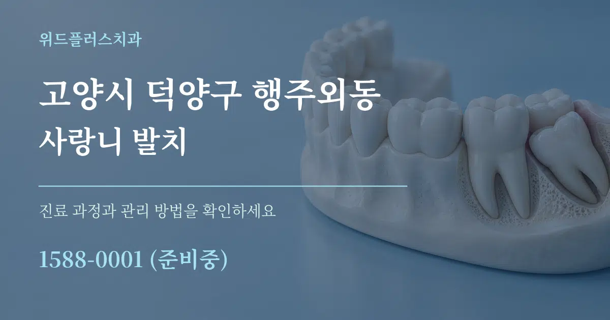 고양시 덕양구 행주외동 사랑니 발치 작업 조건 안내 그래픽