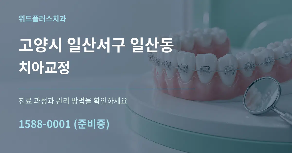 고양시 일산서구 일산동 치아교정 작업 조건 안내 그래픽