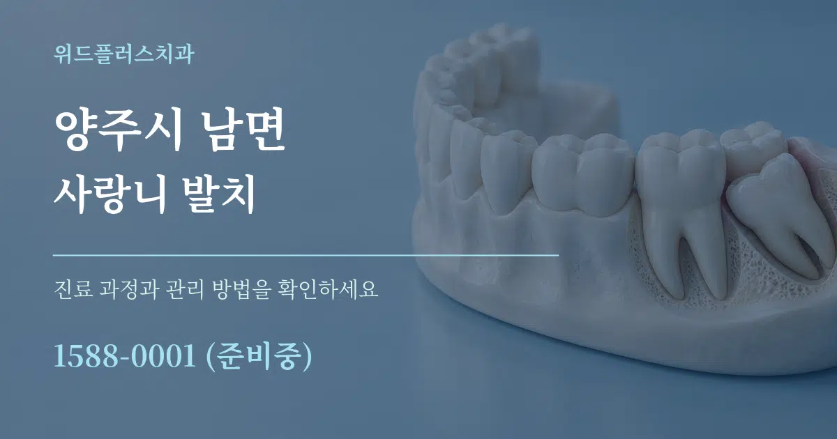 양주시 남면 사랑니 발치 작업 조건 안내 그래픽
