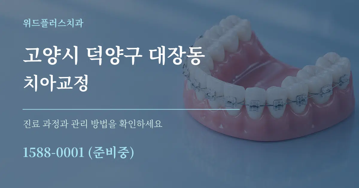 고양시 덕양구 대장동 치아교정 서비스 이용 안내 그래픽
