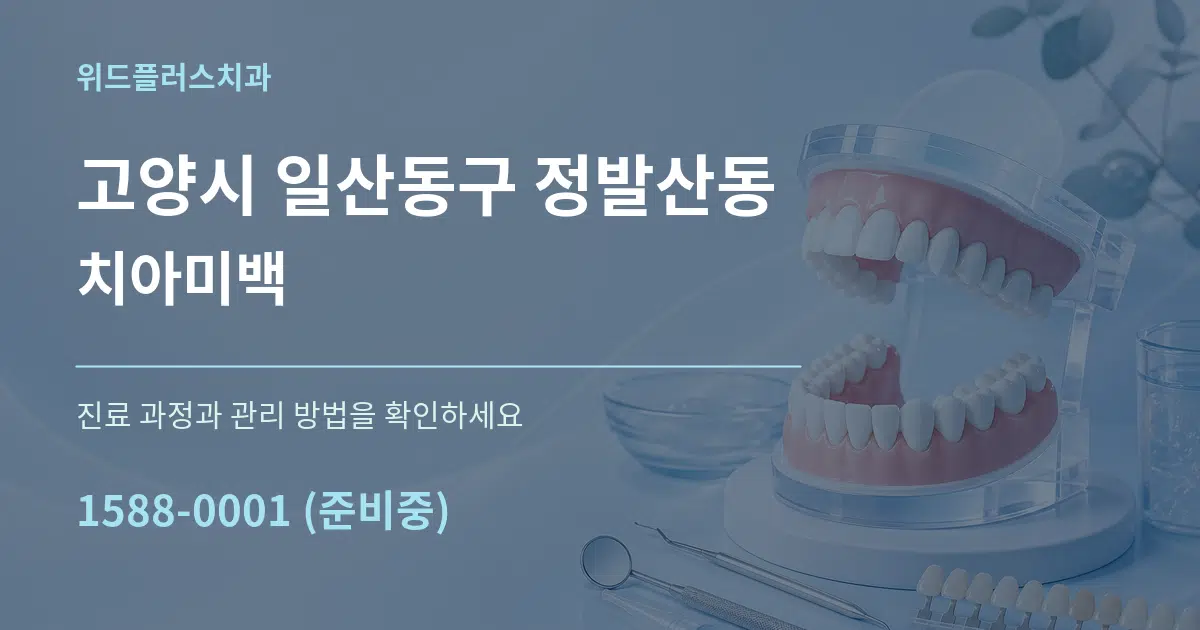 고양시 일산동구 정발산동 치아미백 서비스 이용 안내 그래픽