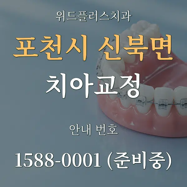 포천시 신북면 치아교정 대표 안내 그래픽