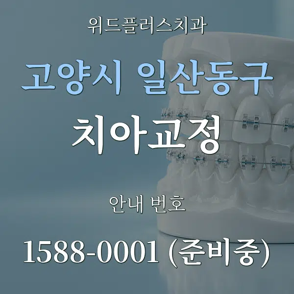 고양시 일산동구 치아교정 대표 안내 그래픽
