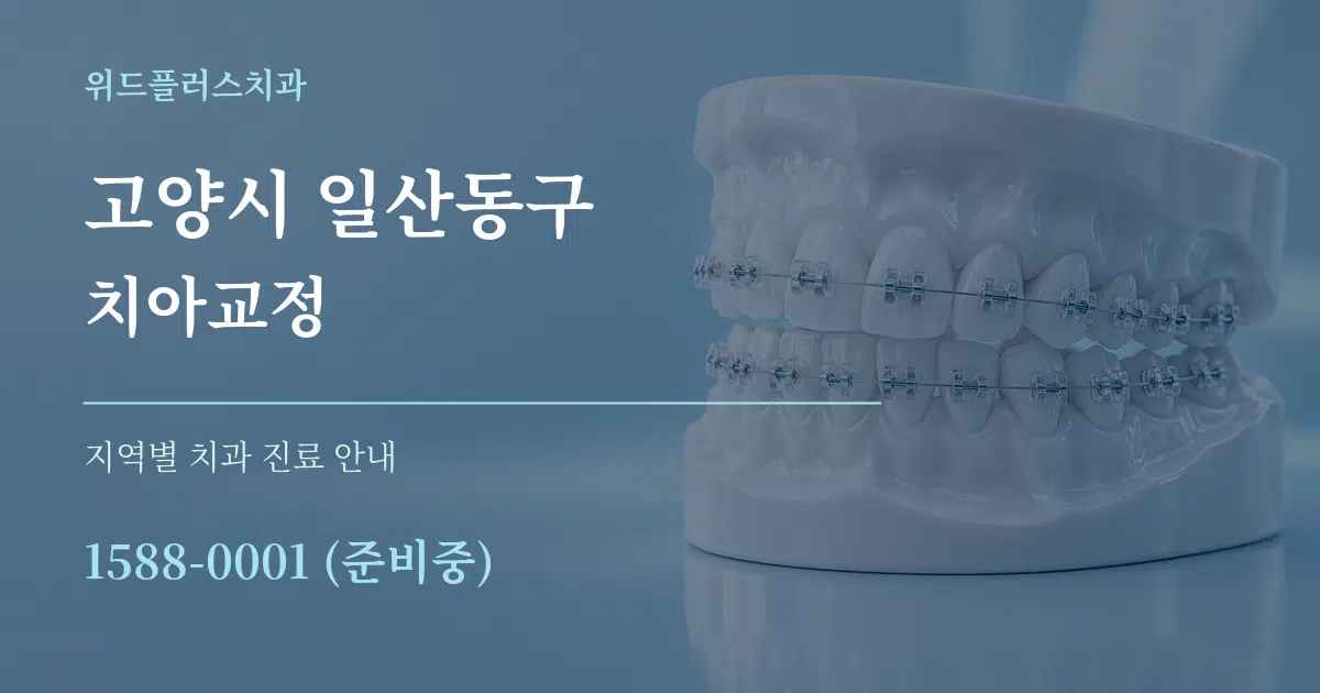 고양시 일산동구 치아교정 대표 안내 그래픽