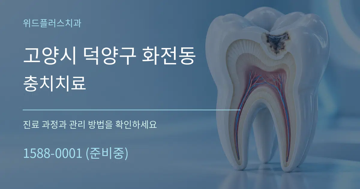 고양시 덕양구 화전동 충치치료 서비스 이용 안내 그래픽