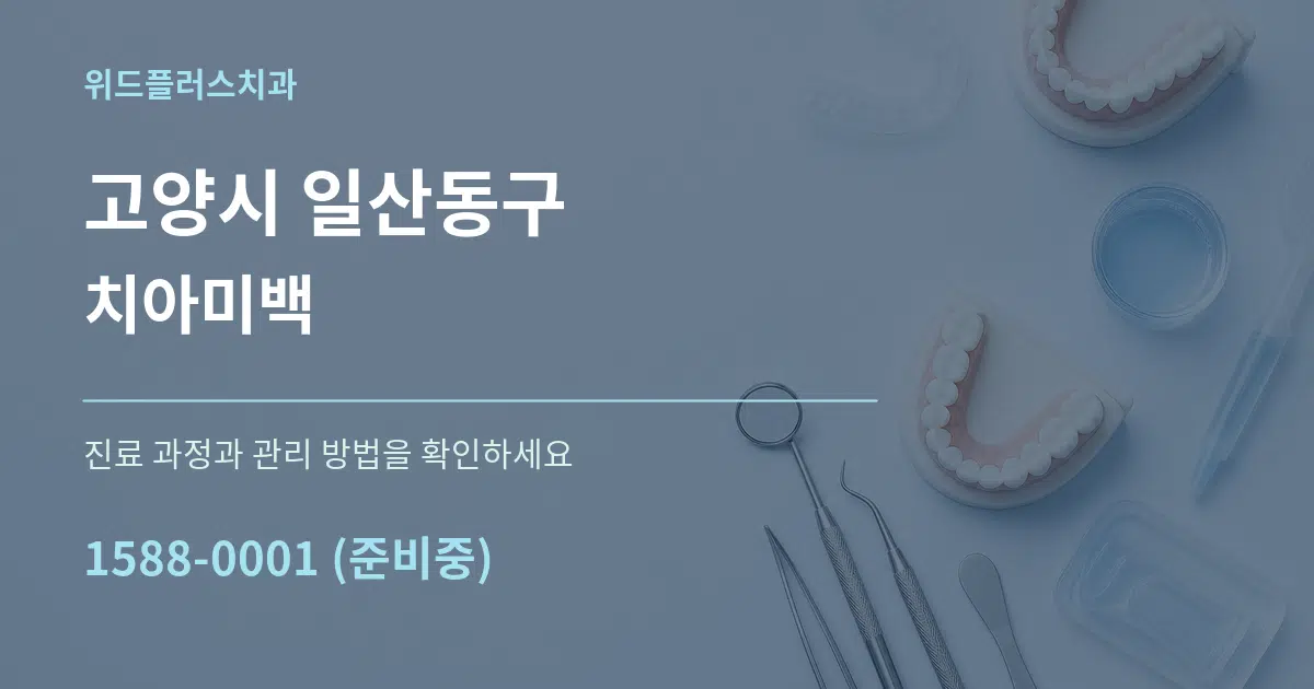 고양시 일산동구 치아미백 서비스 이용 안내 그래픽