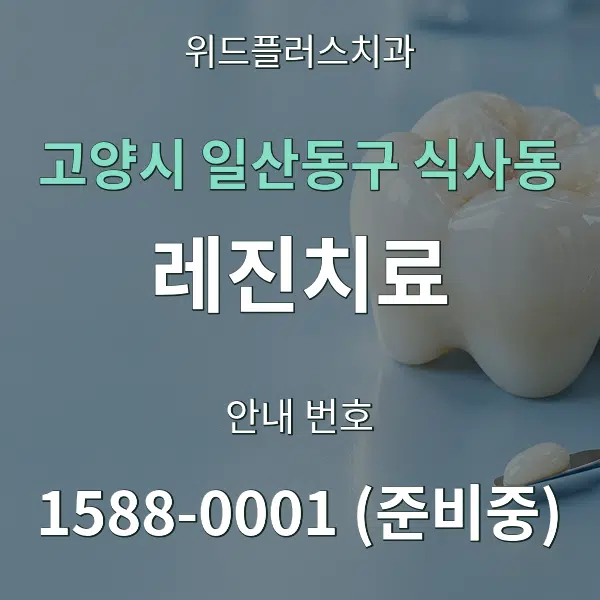 고양시 일산동구 식사동 레진치료 대표 안내 그래픽