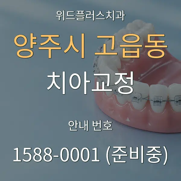 양주시 고읍동 치아교정 대표 안내 그래픽