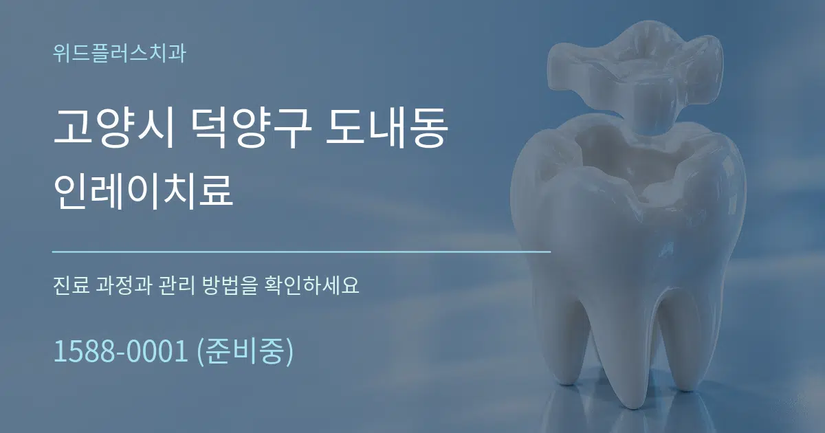 고양시 덕양구 도내동 인레이치료 서비스 이용 안내 그래픽