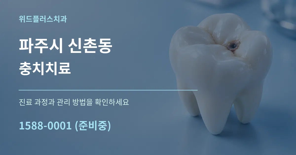 파주시 신촌동 충치치료 서비스 이용 안내 그래픽
